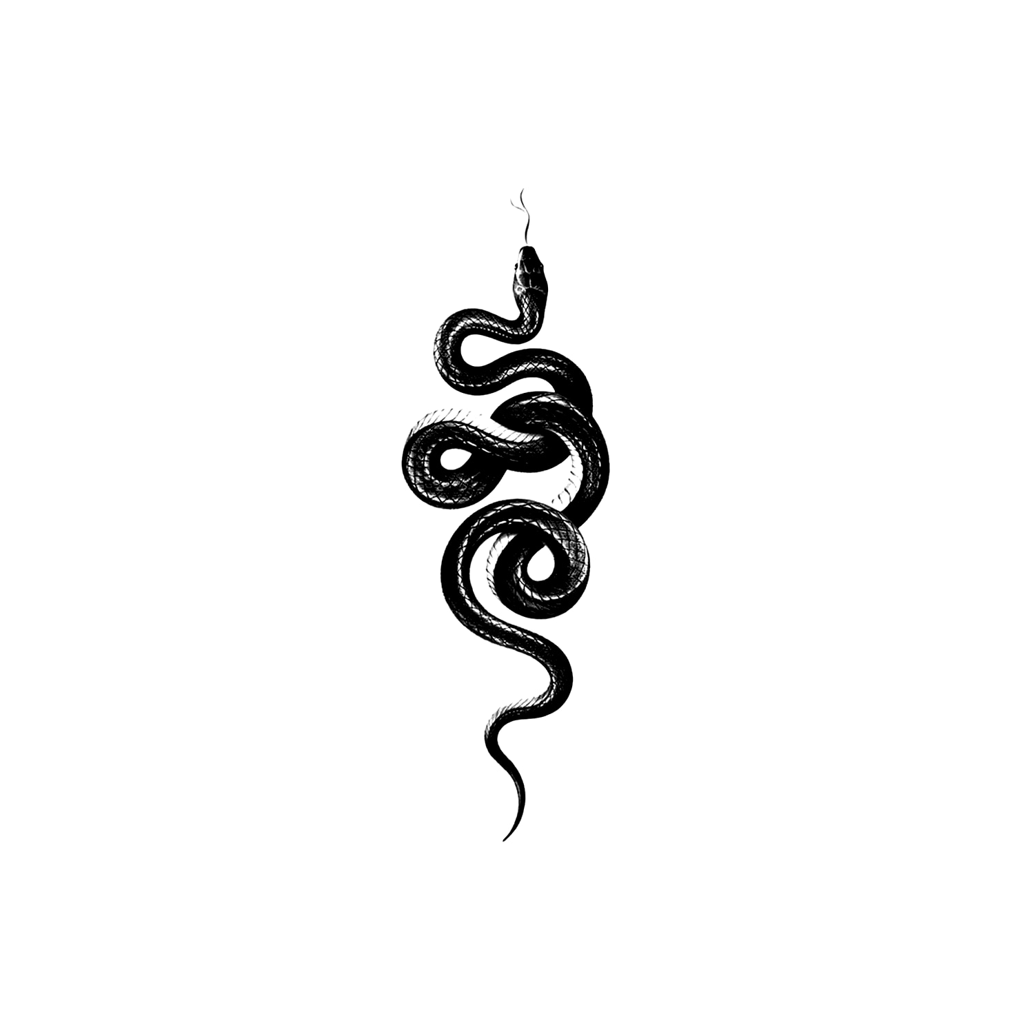 Snake Sticking Out Tongue DC-SHY-JB123