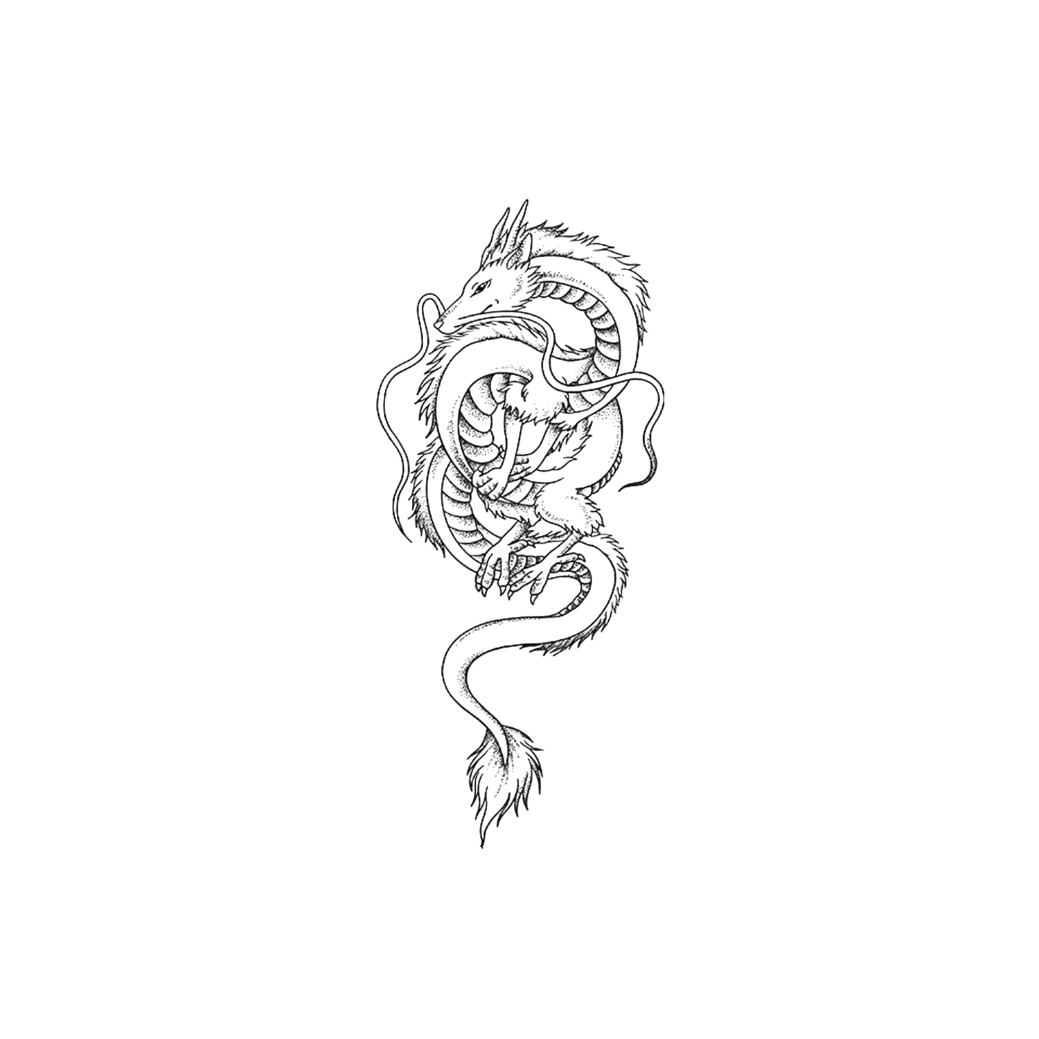 Dragon HC-HC-303