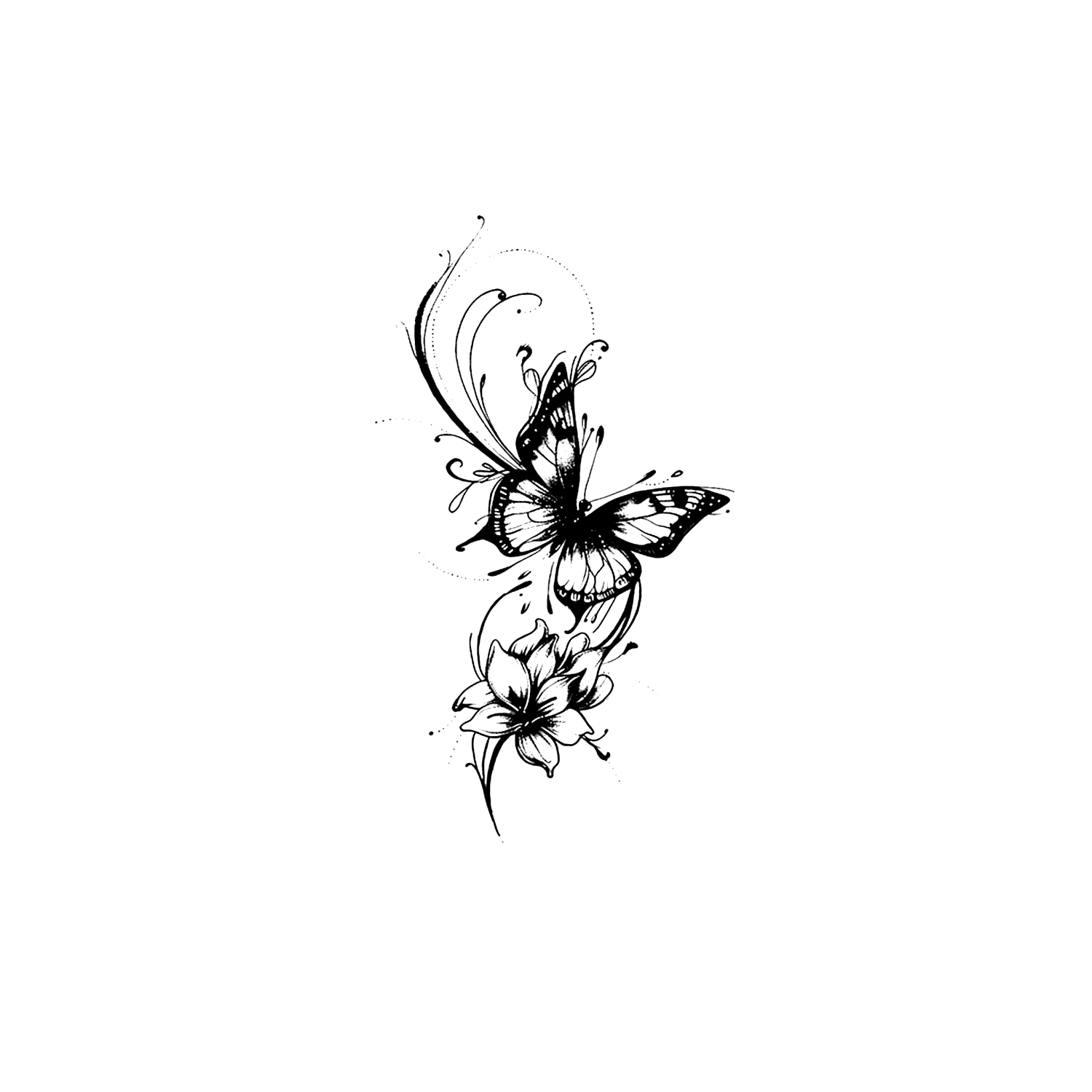 Butterfly HC-HD-014