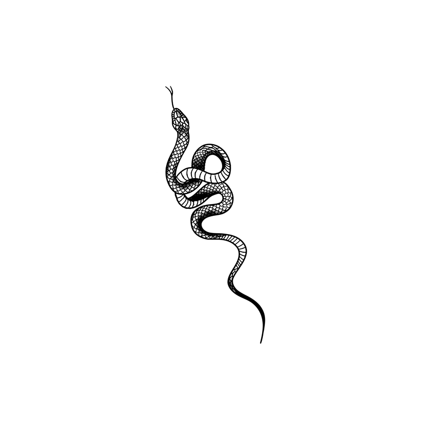 Snake SS-CB-H-018