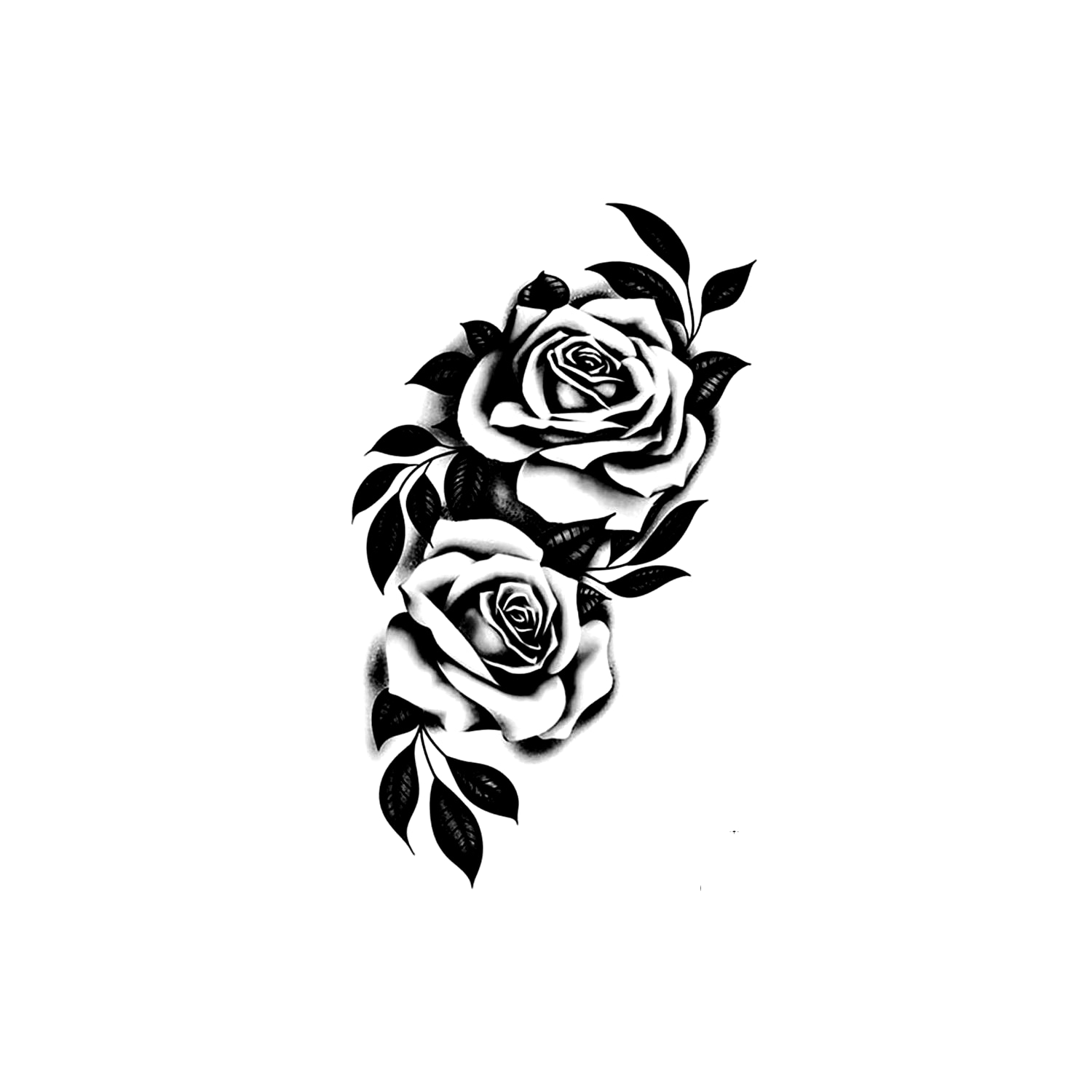 Rose SS-CB-W-049