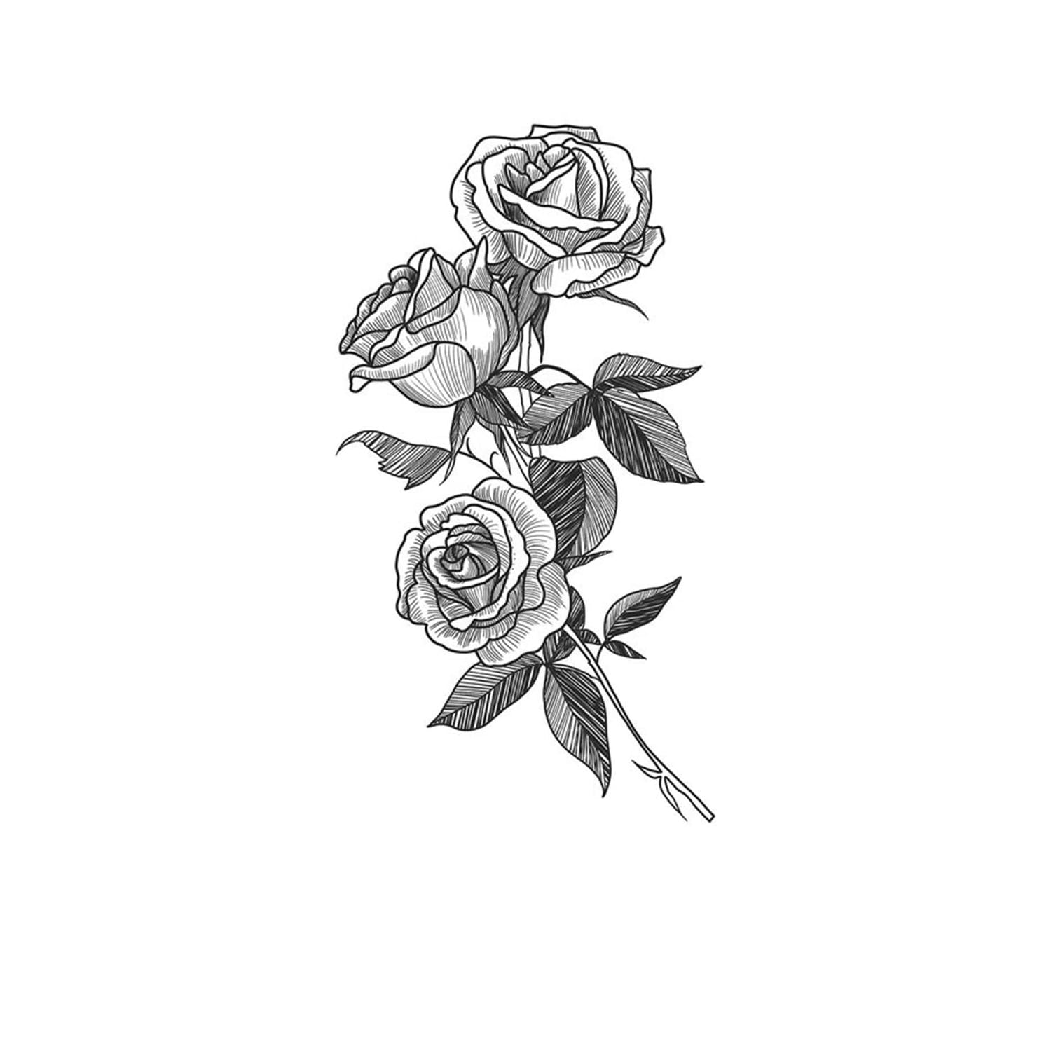 A Rose With Three Blooming Roses - K125